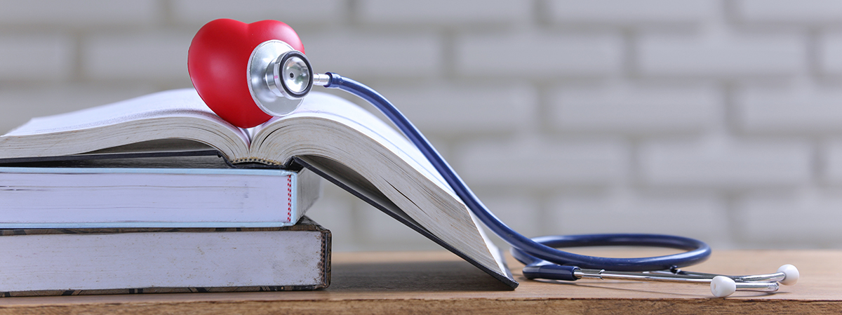 Kullanılan Kılavuzlar